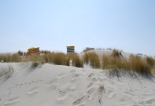 In den Dünen am Südstrand