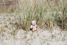 Am Strand sitzen ist schöner, als in den Dünen zu tollen