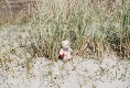 Am Strand sitzen ist schöner, als in den Dünen zu tollen