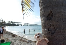 Ich bin im Bahia Honda State Park!