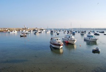 Viele kleine Boote im Hafen von Gorey