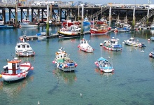 Im Hafen von St. Peter Port