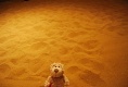 Puh - ist das warm. Die Wüste im Niger.
