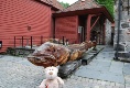 Seltsame Tiere gibt es hier!