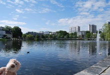 Ich bin am Piepvogel-Teich!