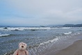 Ich bin am Strand vom Binz