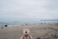 Ich bin am Strand von Prora!