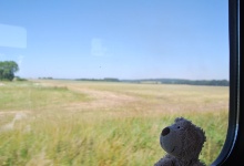 Ich geniesse die Fahrt und schau aus dem Fenster