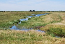 Unterwegs auf Hiddensee