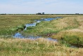 Unterwegs auf Hiddensee