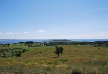 Blick über Hiddensee...