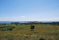 Blick über Hiddensee...