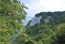 Die Felsen sind ziemlich dicht bewachsen