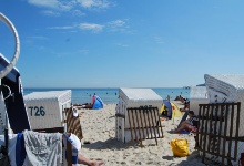 Sonne, Sand und Meer - was will Bär mehr?