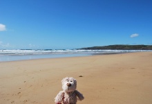 Ich mag Strand gand doll!