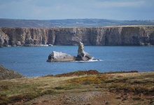 Die Klippen von Govan's Head