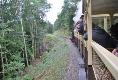 Auf dem Weg mit der Vale of Rheidol Railway