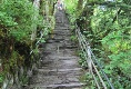 Jacobs Ladder - eine gaaanz steile und lange Treppe, die man runterkletten muss