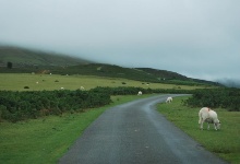 Am Hay Bluff